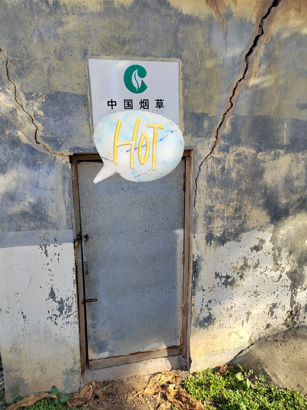 ?乡野日记-烟叶的种植与加工