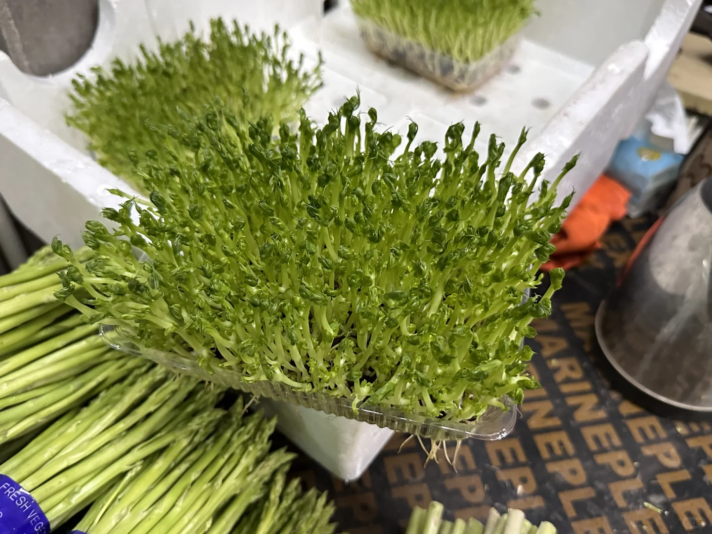 餐厅业的老板，厨师长点进来！?#生鲜供应商