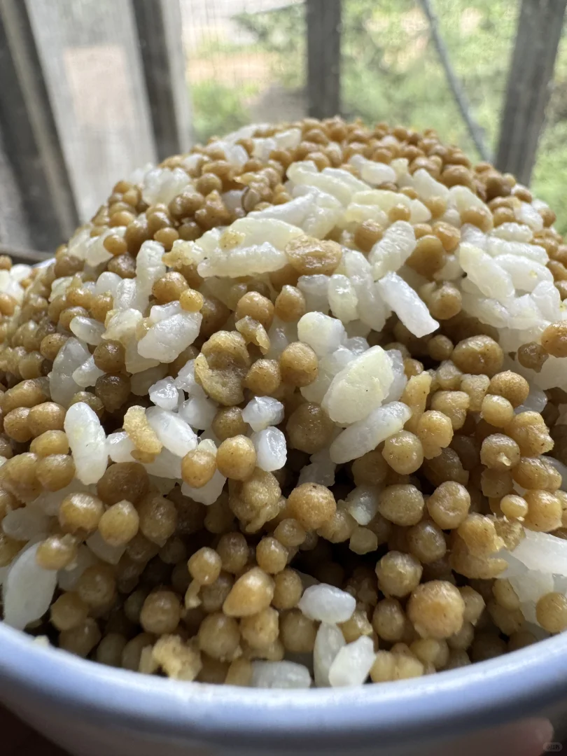 苦荞麦饭?健康新选择