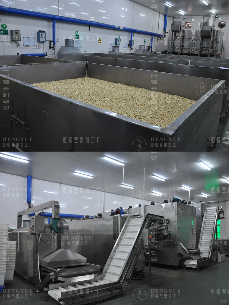 坚果加工生产日常,工厂直销批发坚果供货商