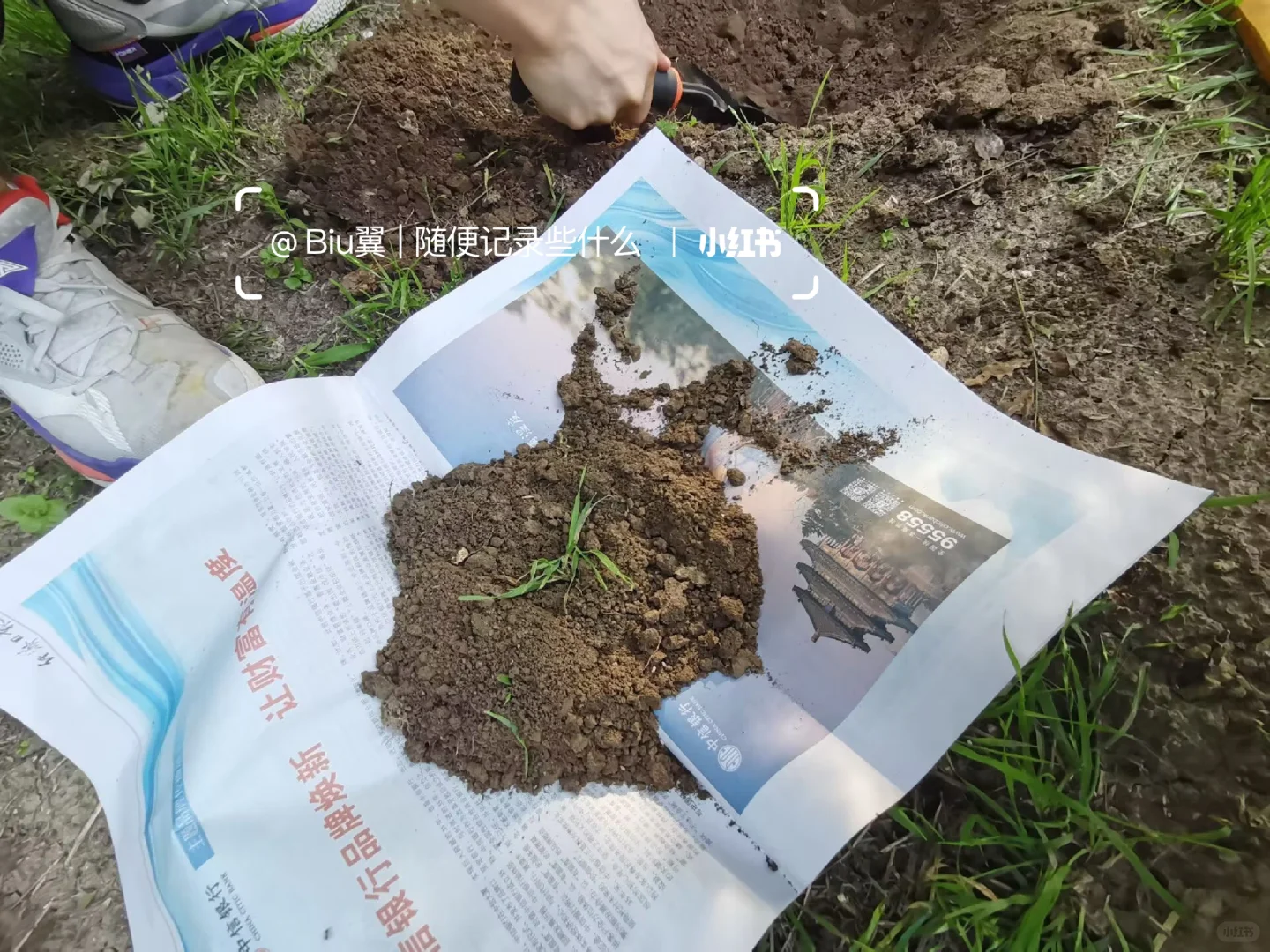 环境科学与工程‖环境监测实验?