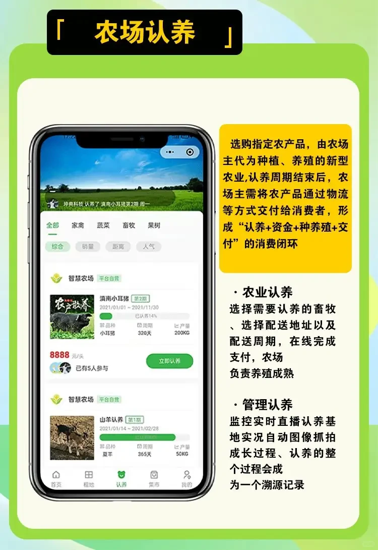 智慧农场系统开发—农场认养实时监控
