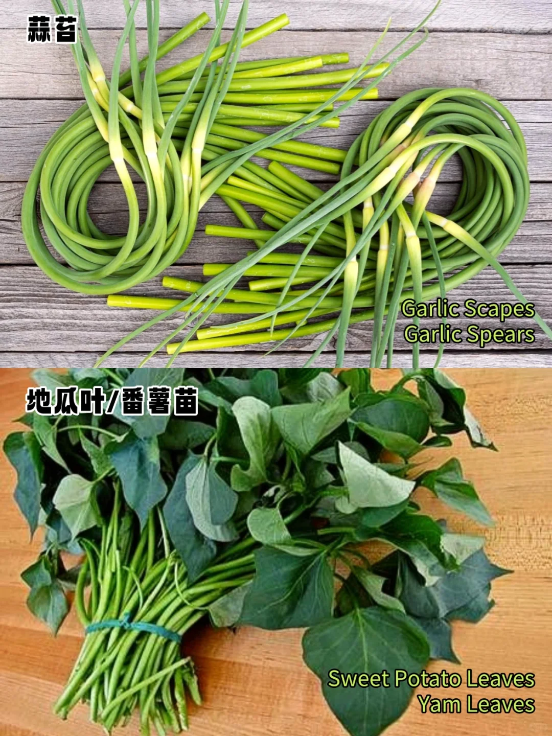 加拿大常见蔬菜中英文对照?叶菜篇