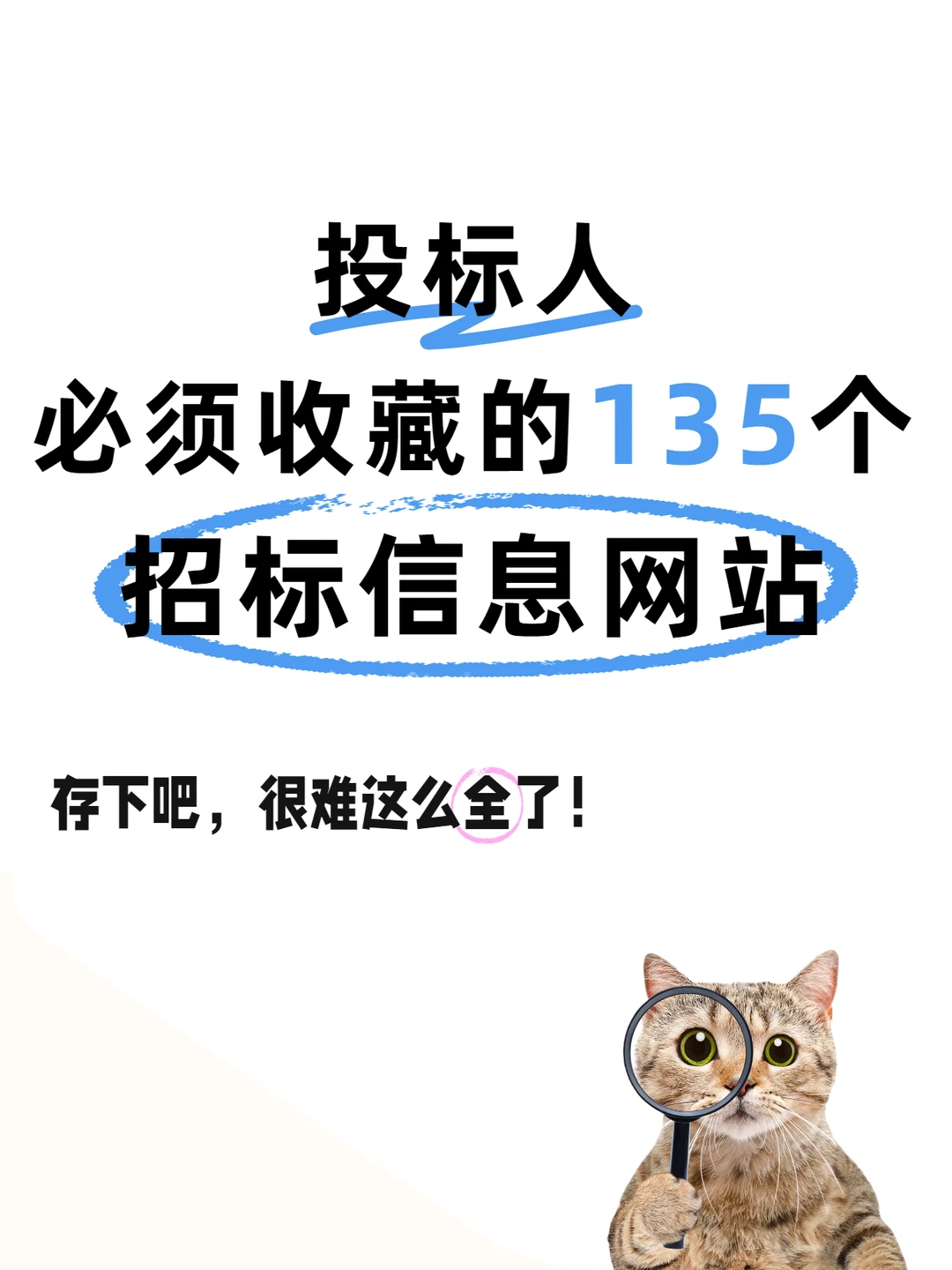真是全网蕞全了！查询招标公告的135个网站