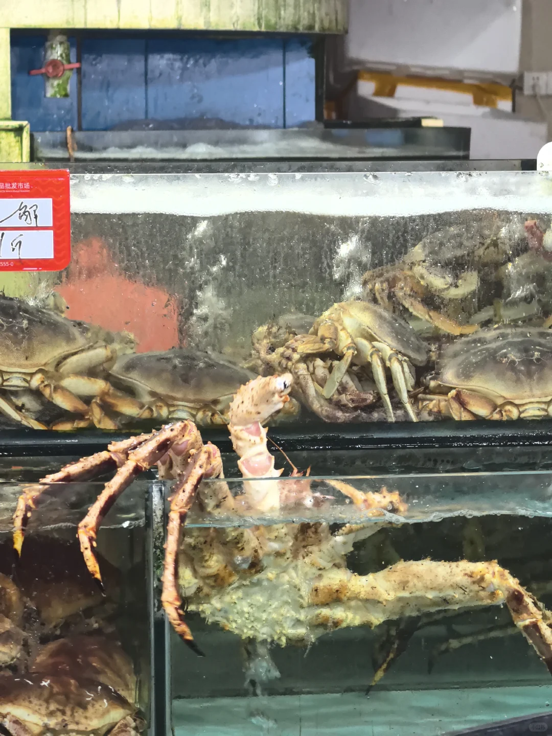 海鲜批发市场里竟藏了个近万平的美食城!