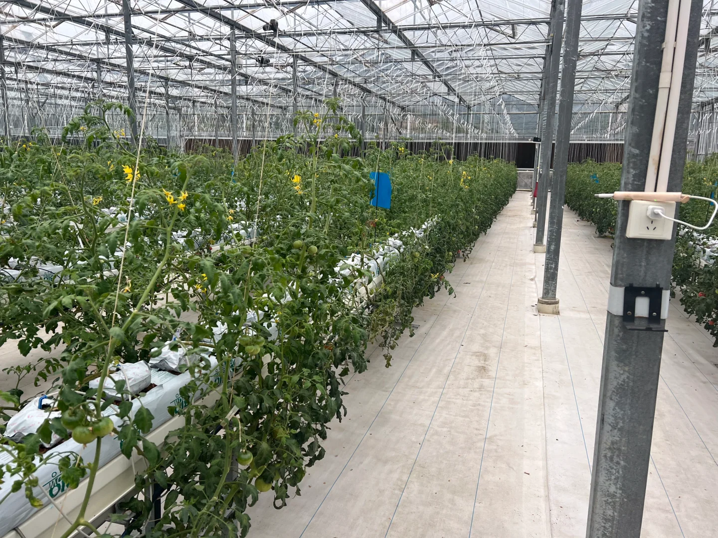 上海食堂食材配送，我只认这一家！???