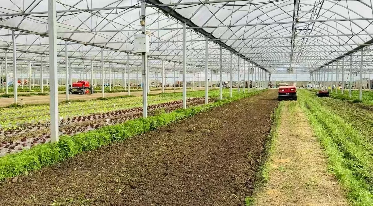 我们的无人生态农场