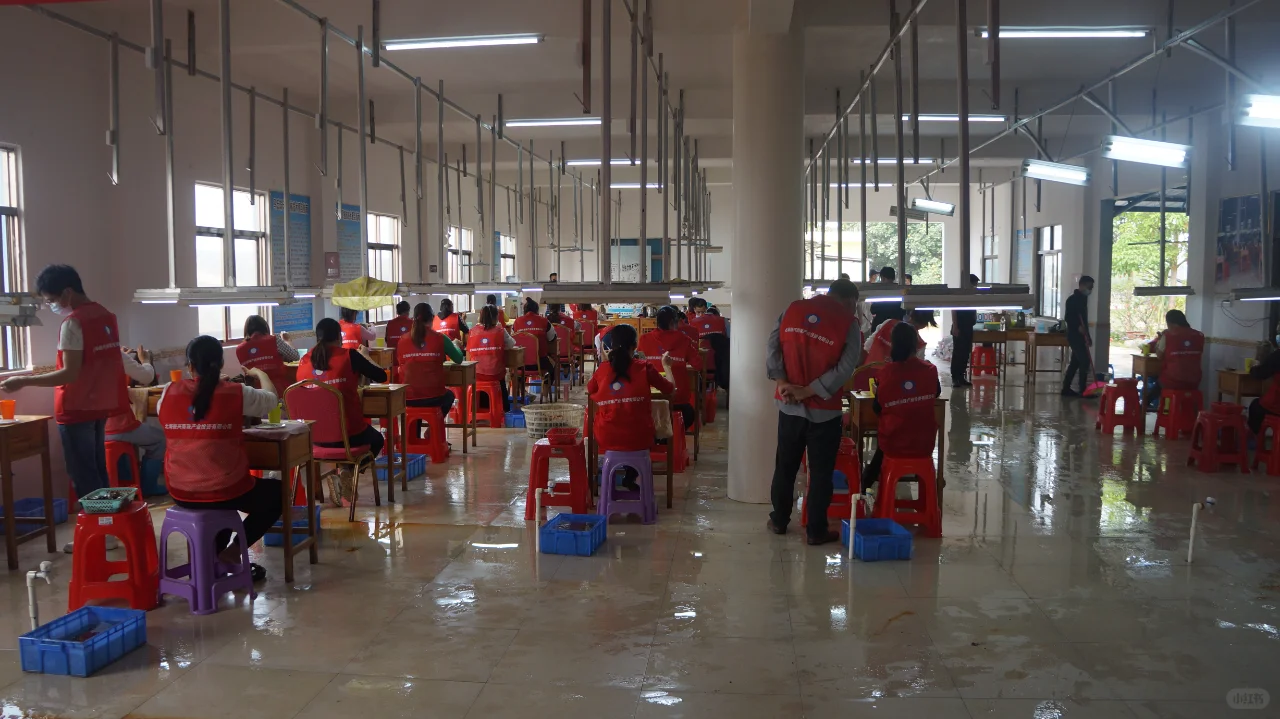 真的有国企在做珍珠产业???