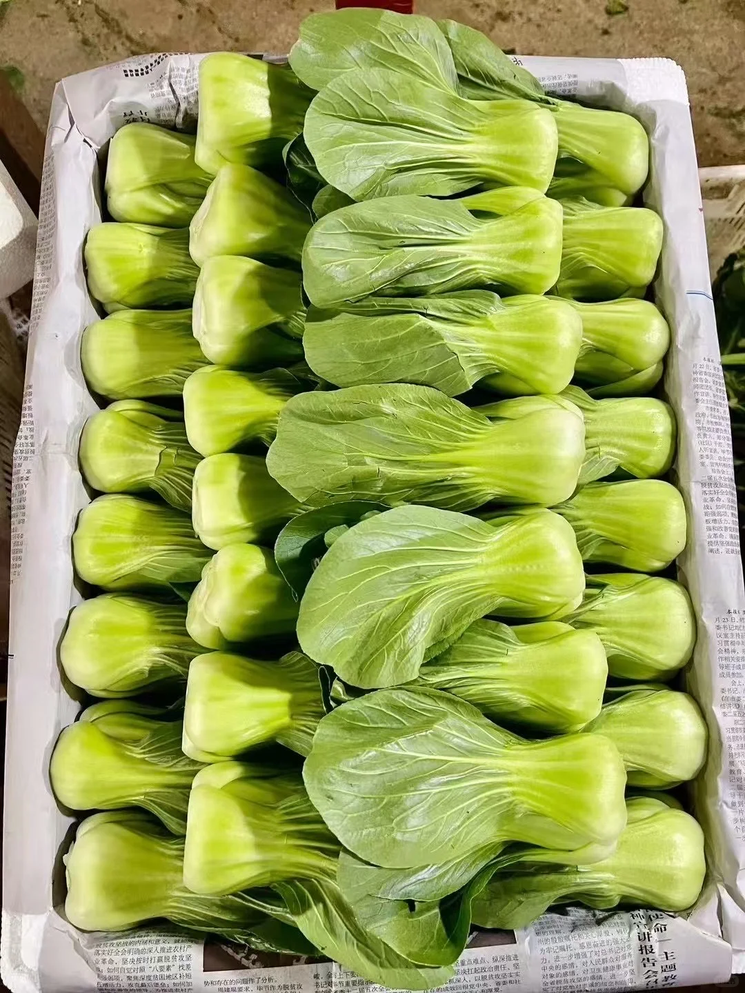 蔬菜批发 #食堂供应商 #同城配送 #餐饮供应