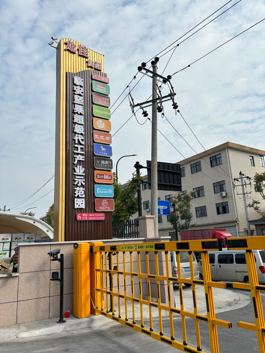 1688挖到三只ss、百c味老家了！坚果自由！