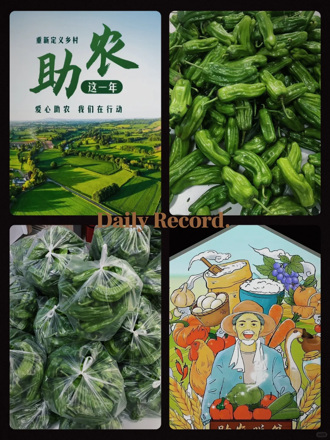 一年一度的助农，开始了～