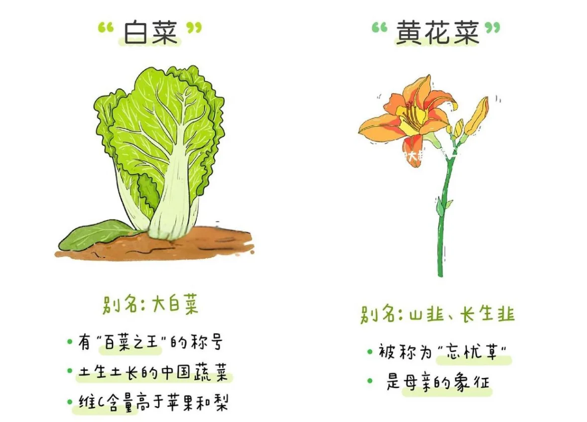 蔬菜小课堂：让孩子爱上吃菜的秘诀 ?