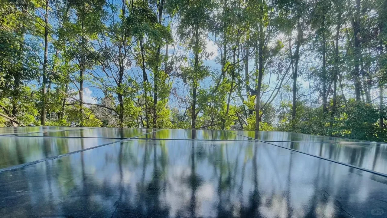 省钱又环保的生活从这里开始！?