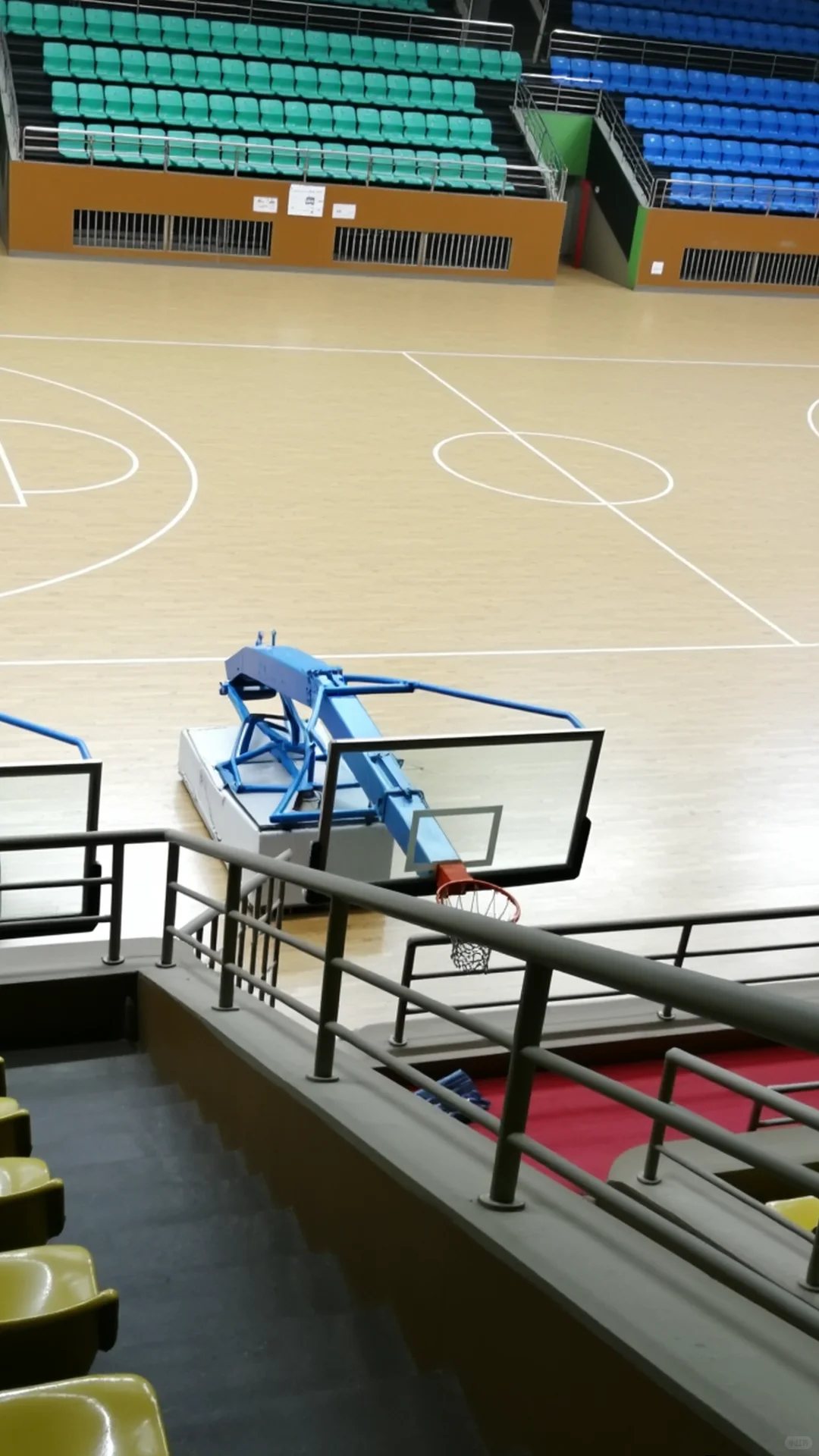 广东枫桦木运动体育地板招标