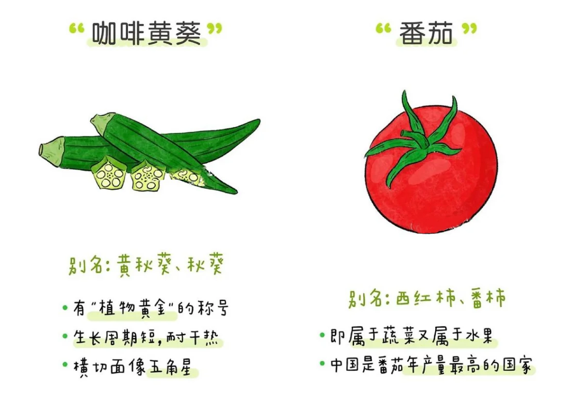 蔬菜小课堂：让孩子爱上吃菜的秘诀 ?