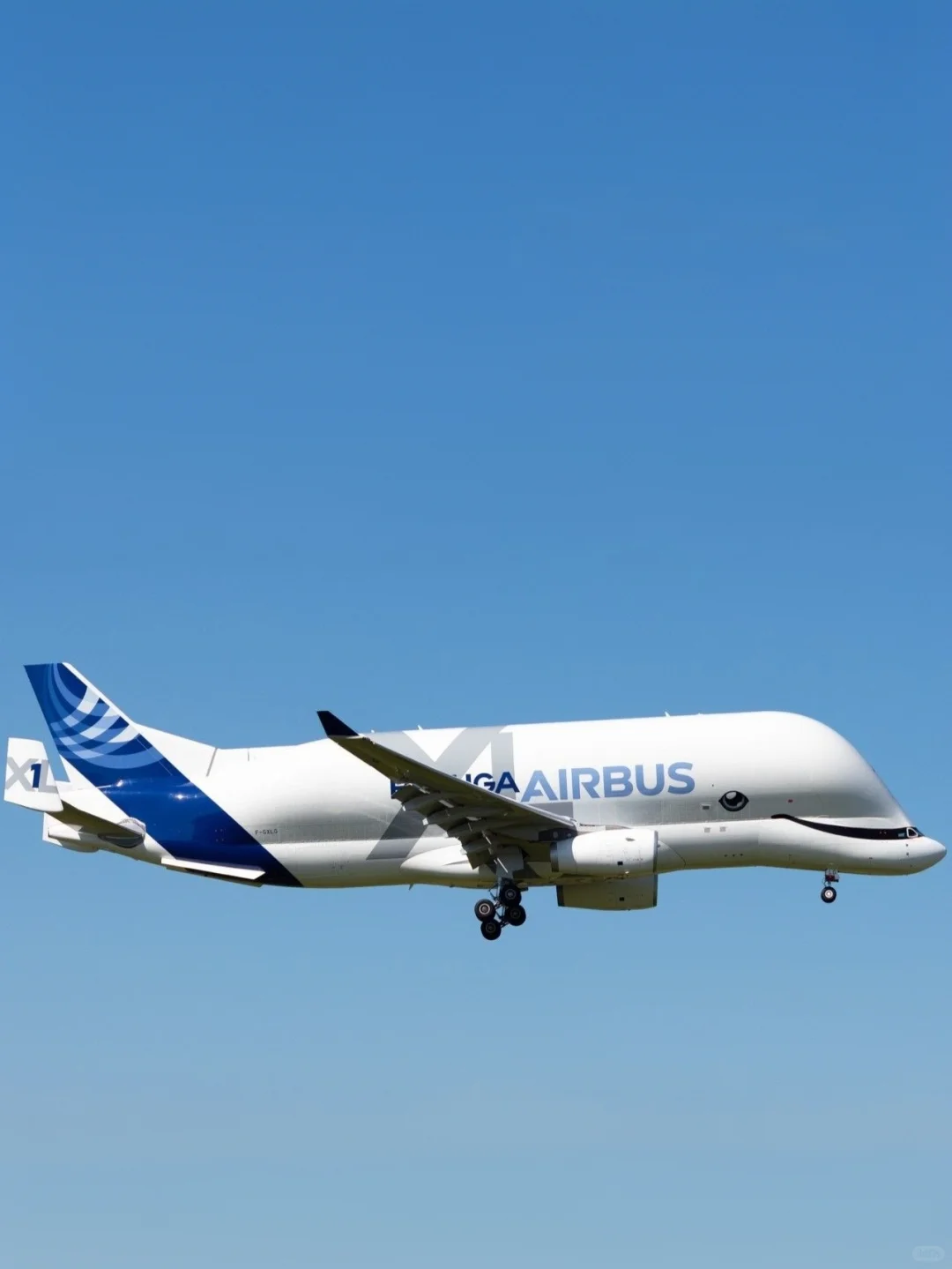 空客公司的6架超级“大白鲸”