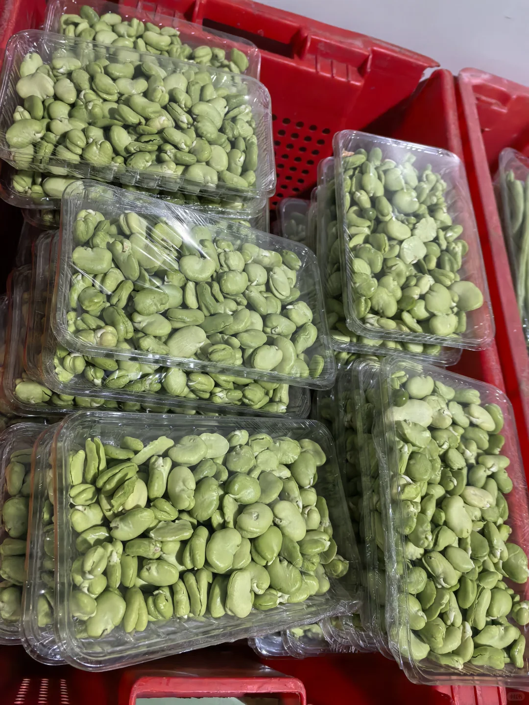 新鲜不缺席｜健康不将就｜配送月结