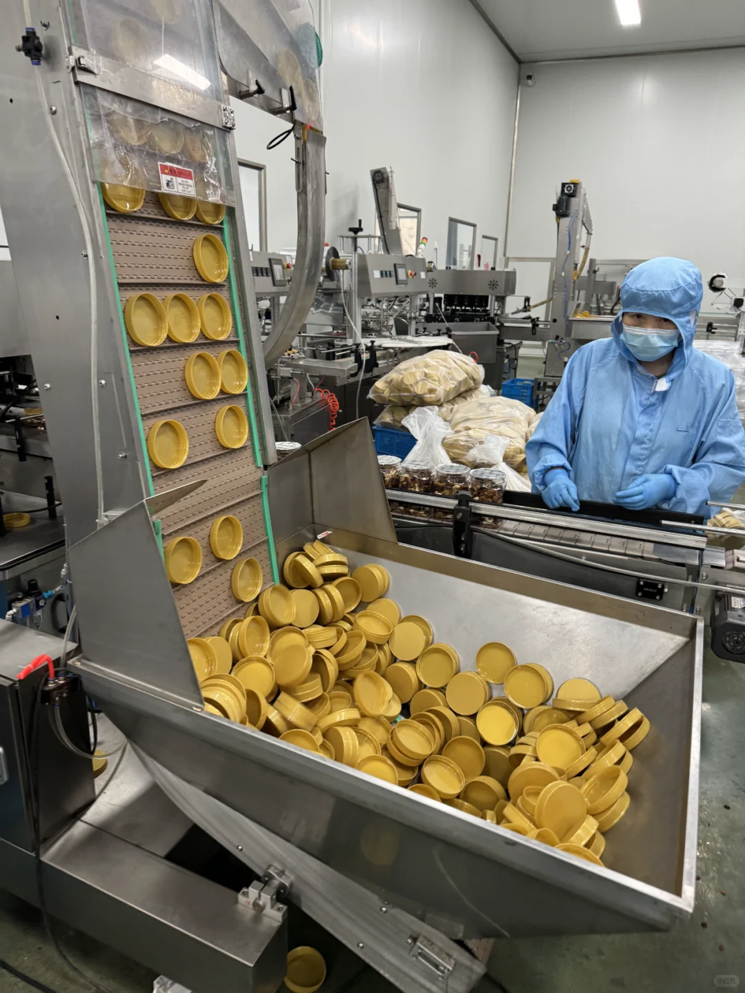 1688挖到三只ss、百c味老家了！坚果自由！