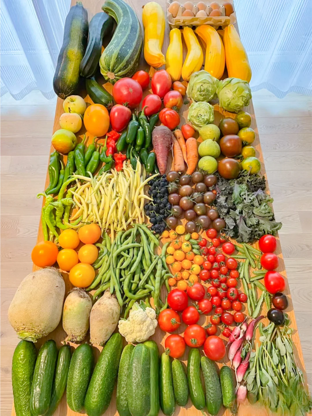 这个收成，在种菜界是什么水平？