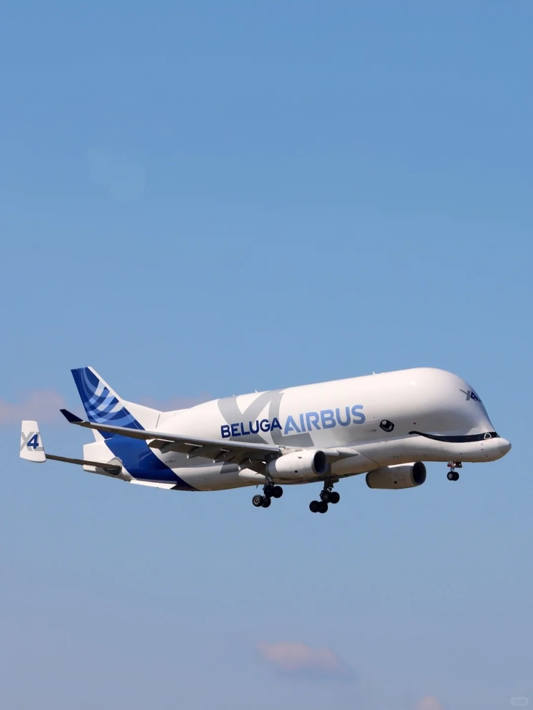 空客公司的6架超级“大白鲸”