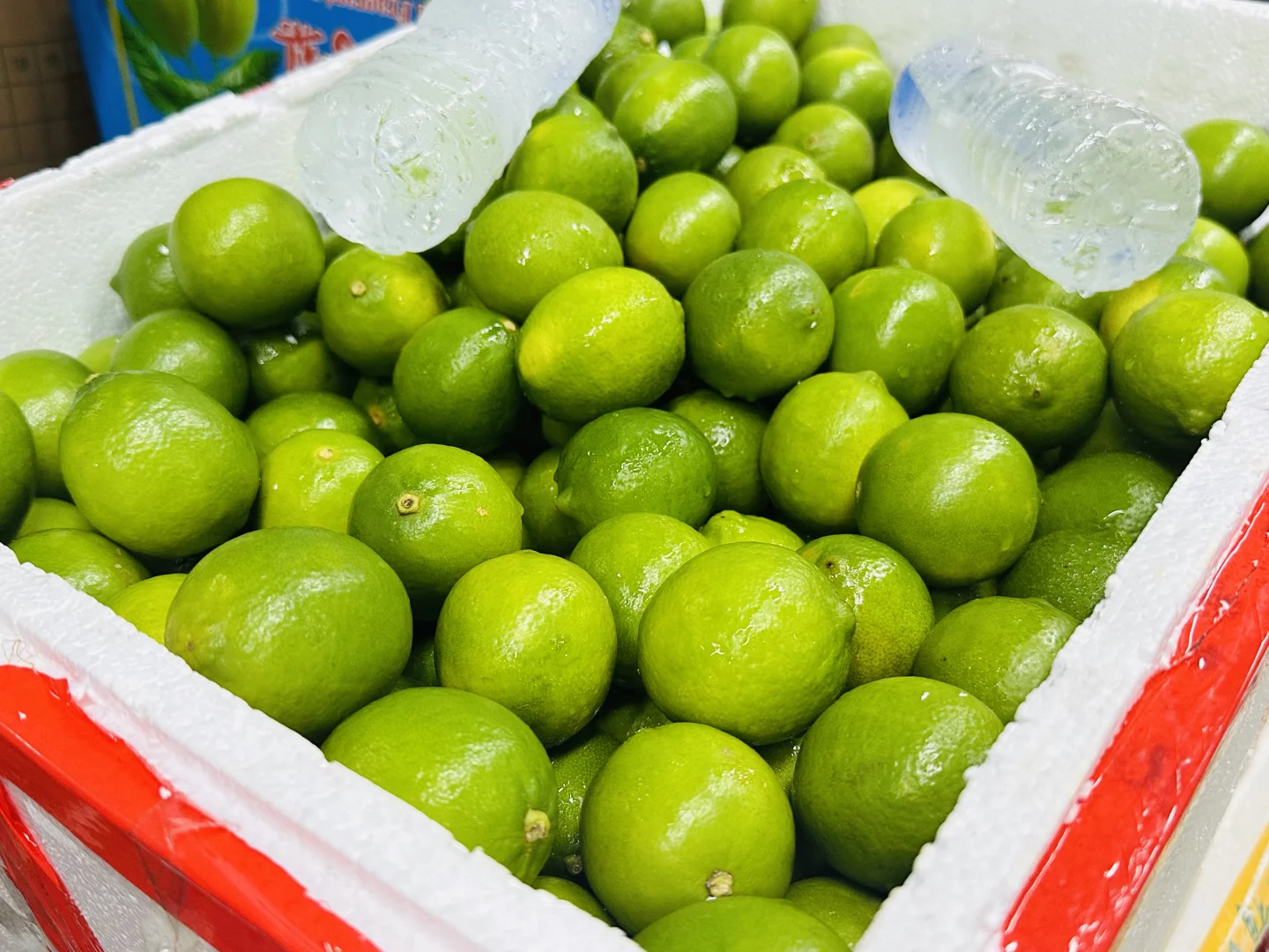 餐厅业的老板，厨师长点进来！?#生鲜供应商