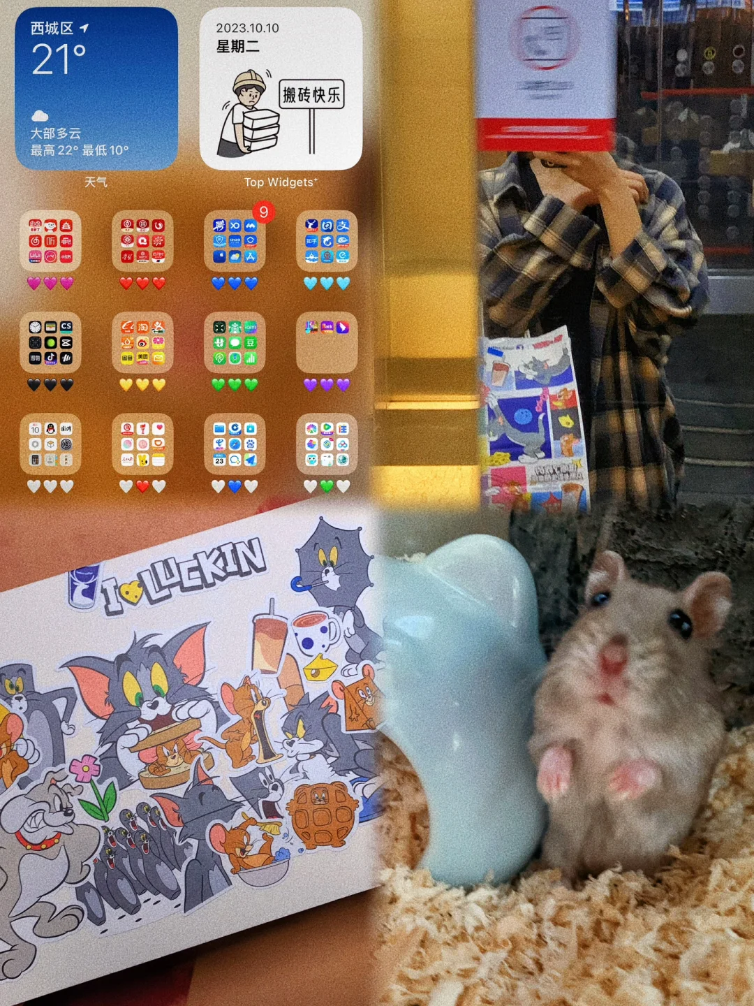 投标流程七步走