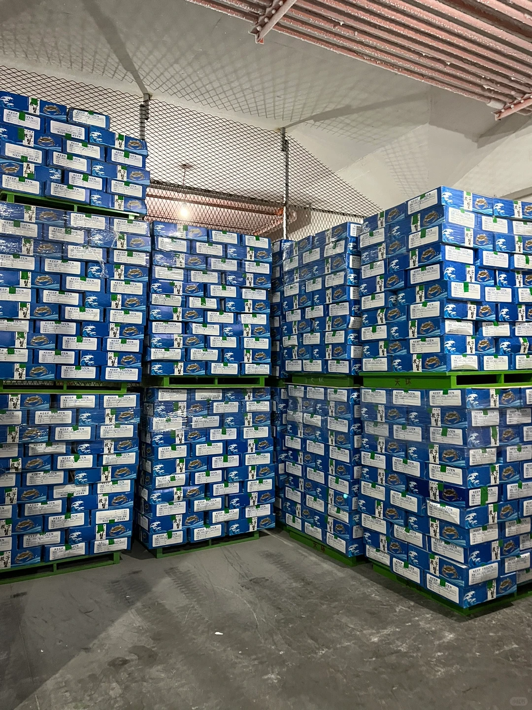 专业的人做专业的事