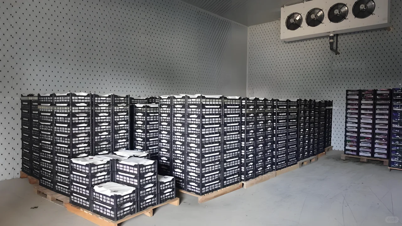 冷库如何实现节能?