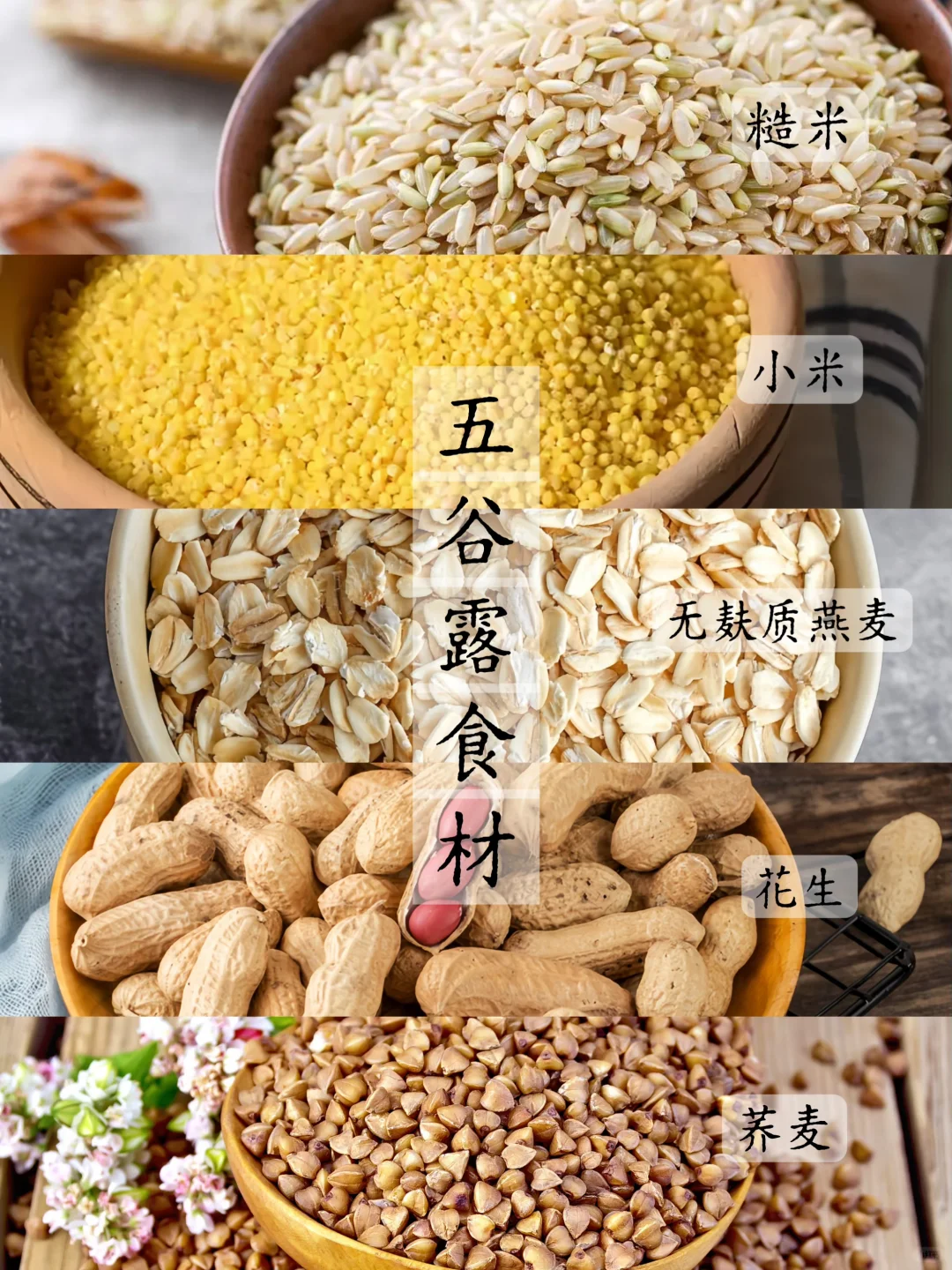 惊蛰要多吃种子 五谷露开启元气满满的一天