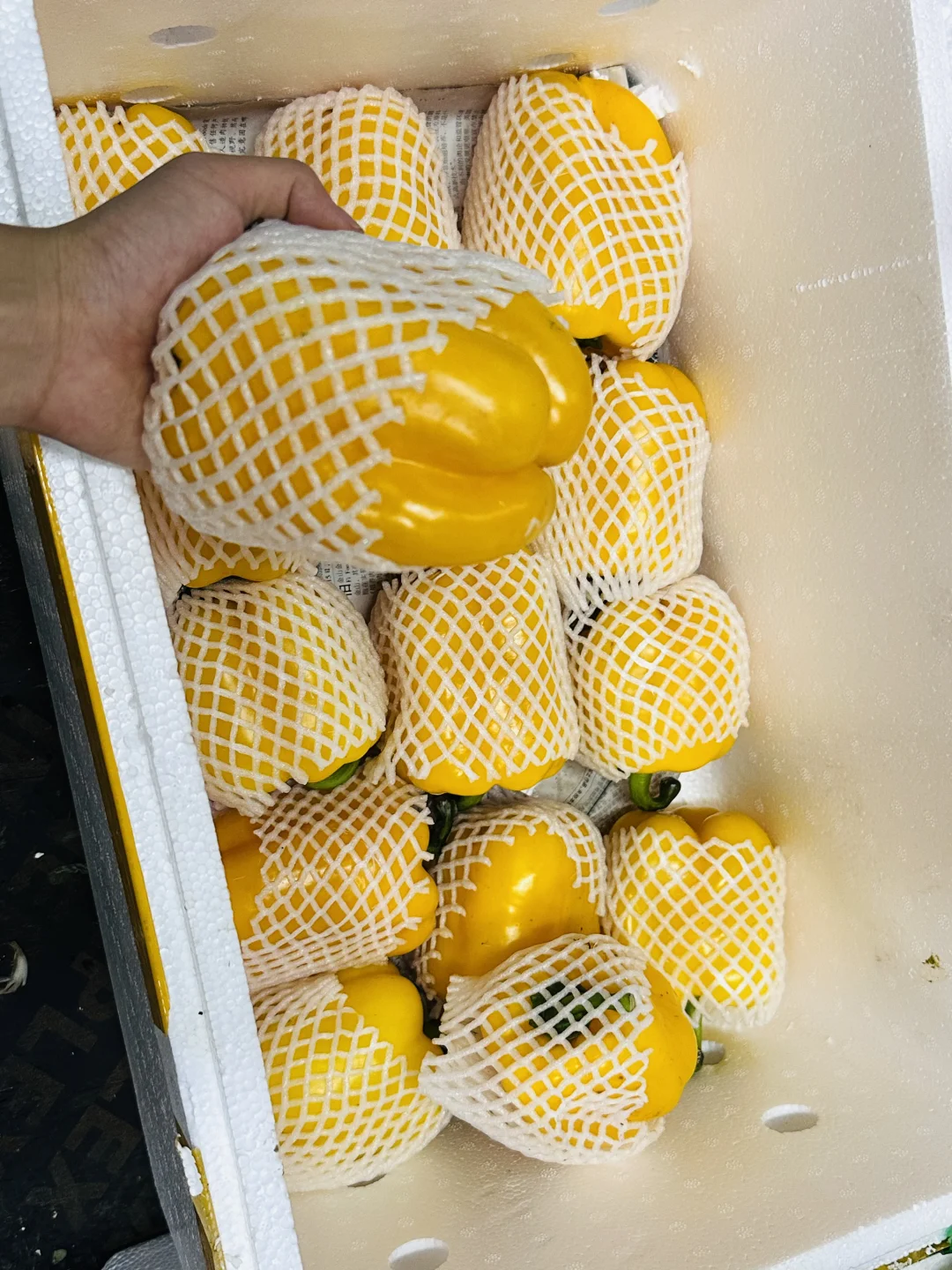 餐厅业的老板，厨师长点进来！?#生鲜供应商