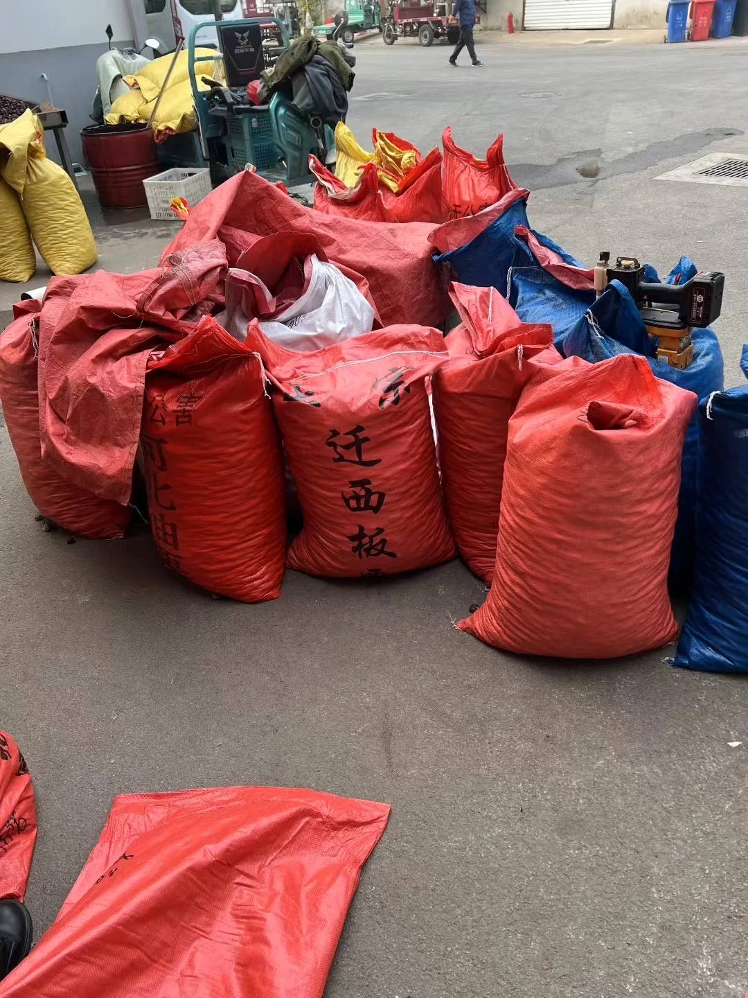 批发板栗就找栗子姐