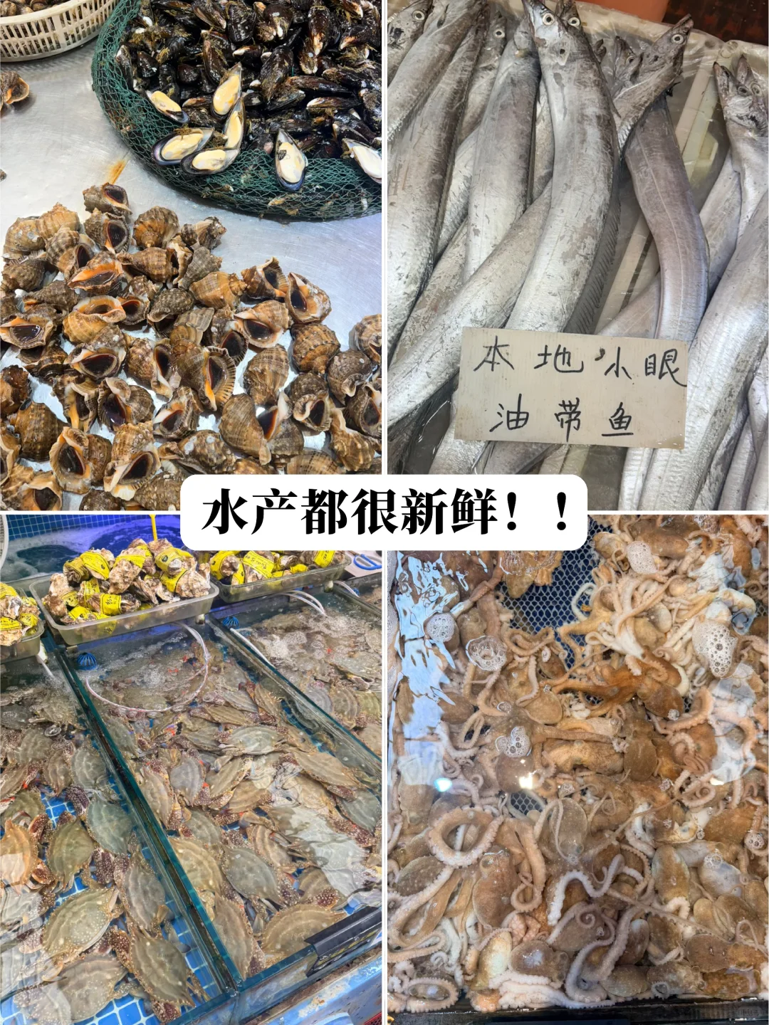 ?团岛农贸市场！地铁40分钟就为了这几口！