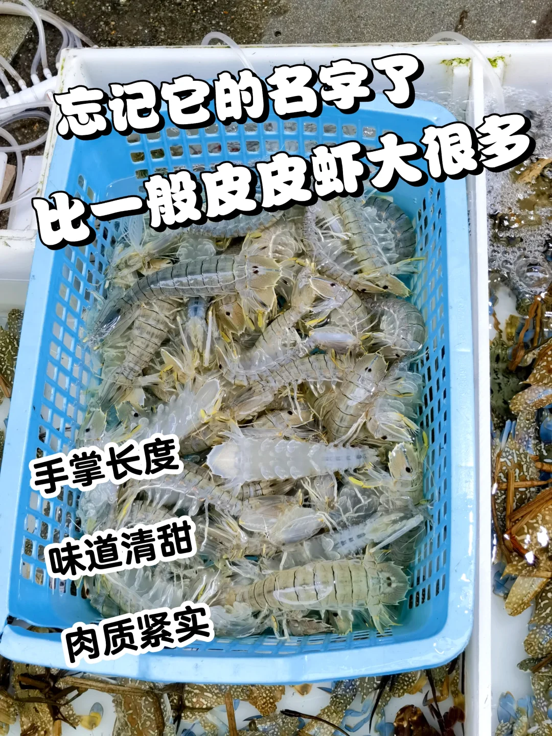 海陵岛海鲜攻略｜海鲜市场+餐馆一条龙