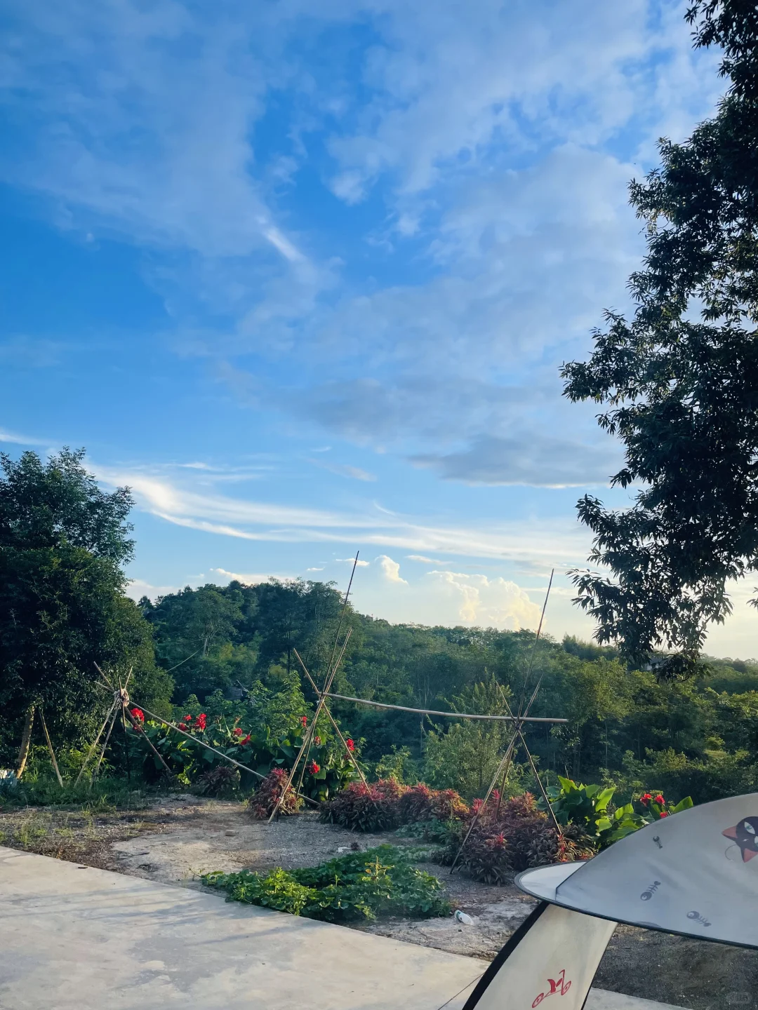 田园的慢生活｜纯天然绿色瓜果蔬菜