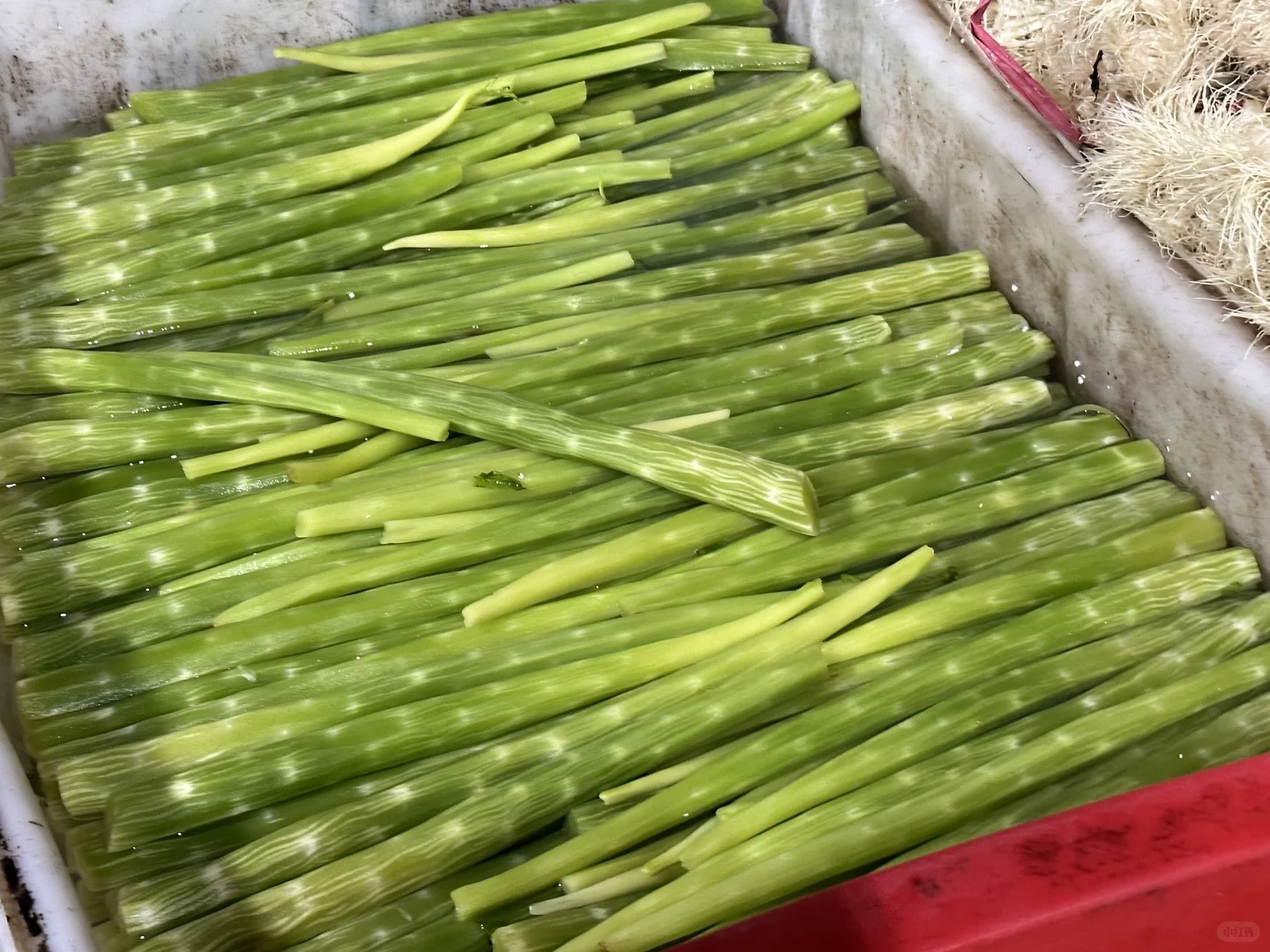 餐厅业的老板，厨师长点进来！?#生鲜供应商