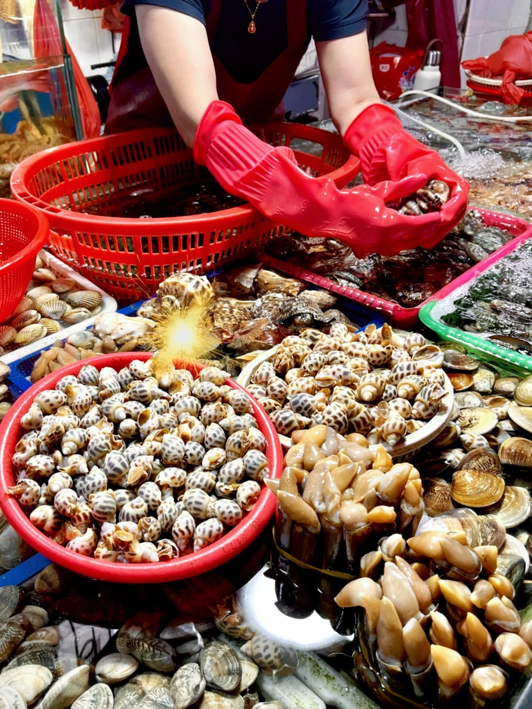 挖到三亚海鲜天花板丨现买现加工，放心冲✌