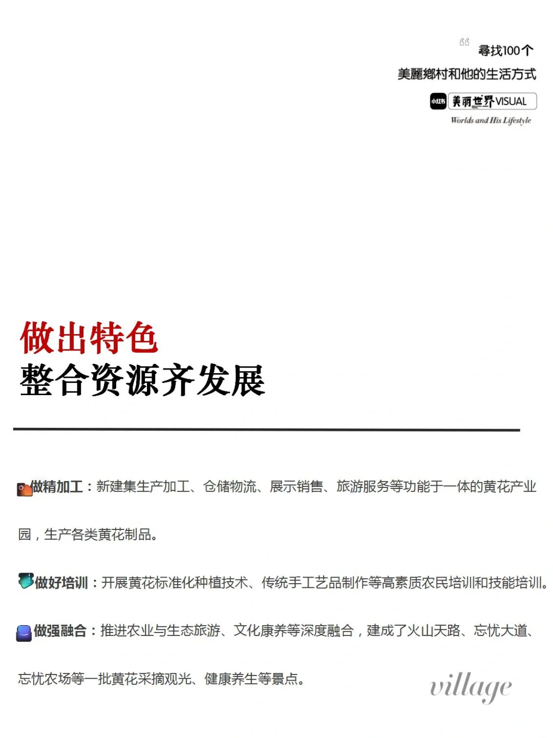 乡村振兴｜小黄花开出大产业