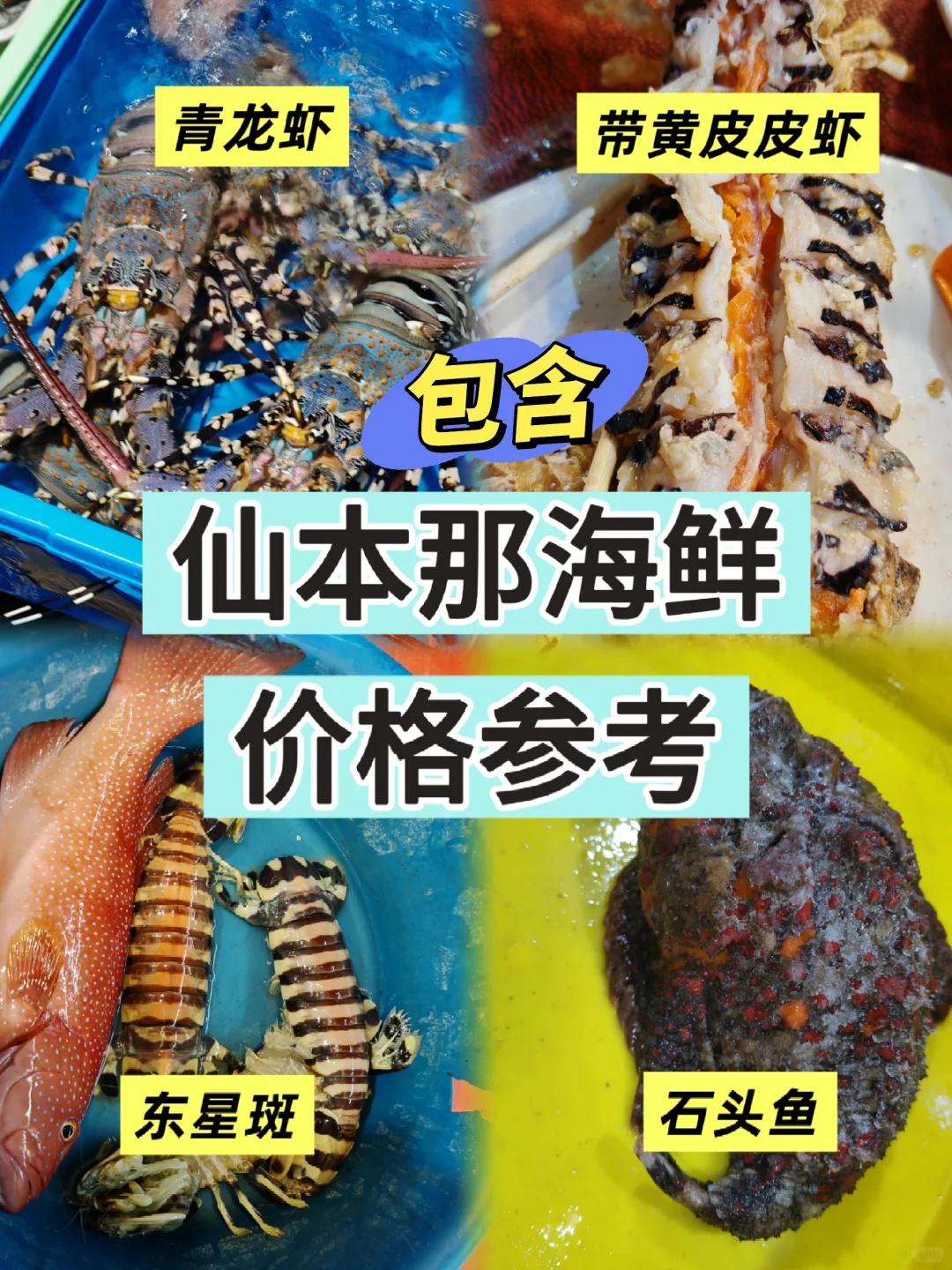 ?仙本那海鲜市场砍价⚔️终极教程