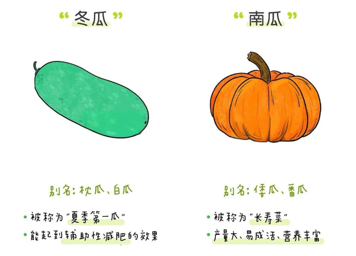 蔬菜小课堂：让孩子爱上吃菜的秘诀 ?