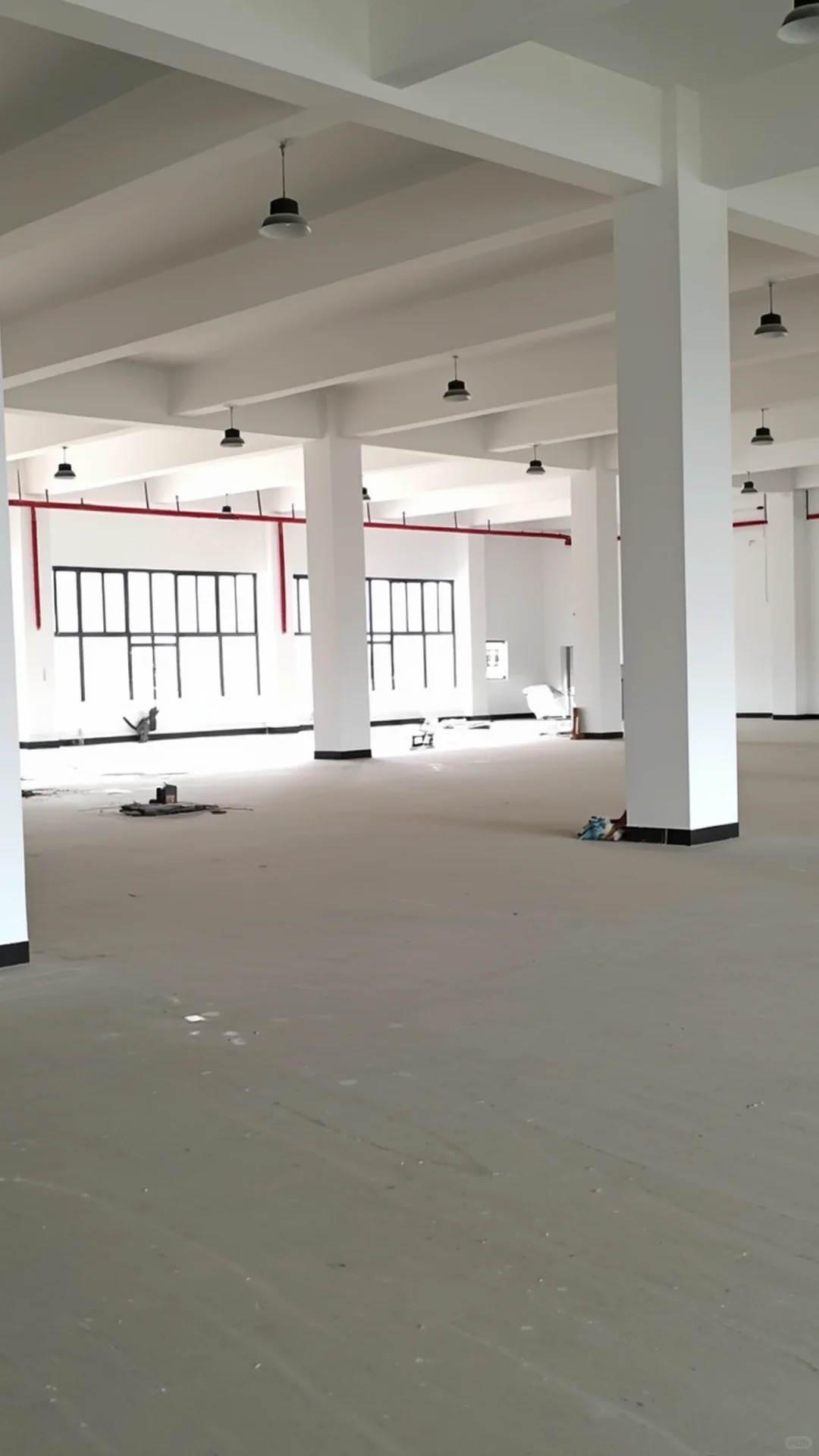 广东枫桦木运动体育地板招标