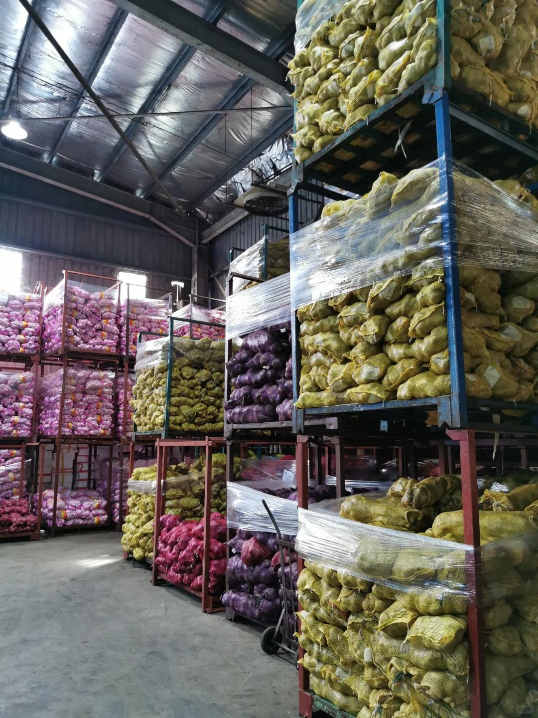 伟泰饭农产品供应链源头直供一站式配送