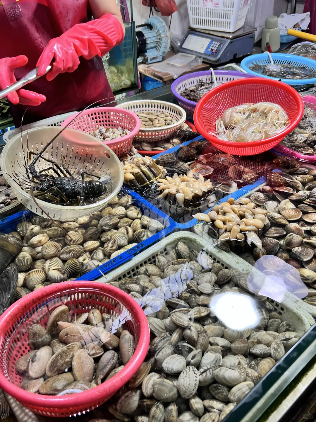 到底是谁在说三亚的海鲜便宜啊。。。。???