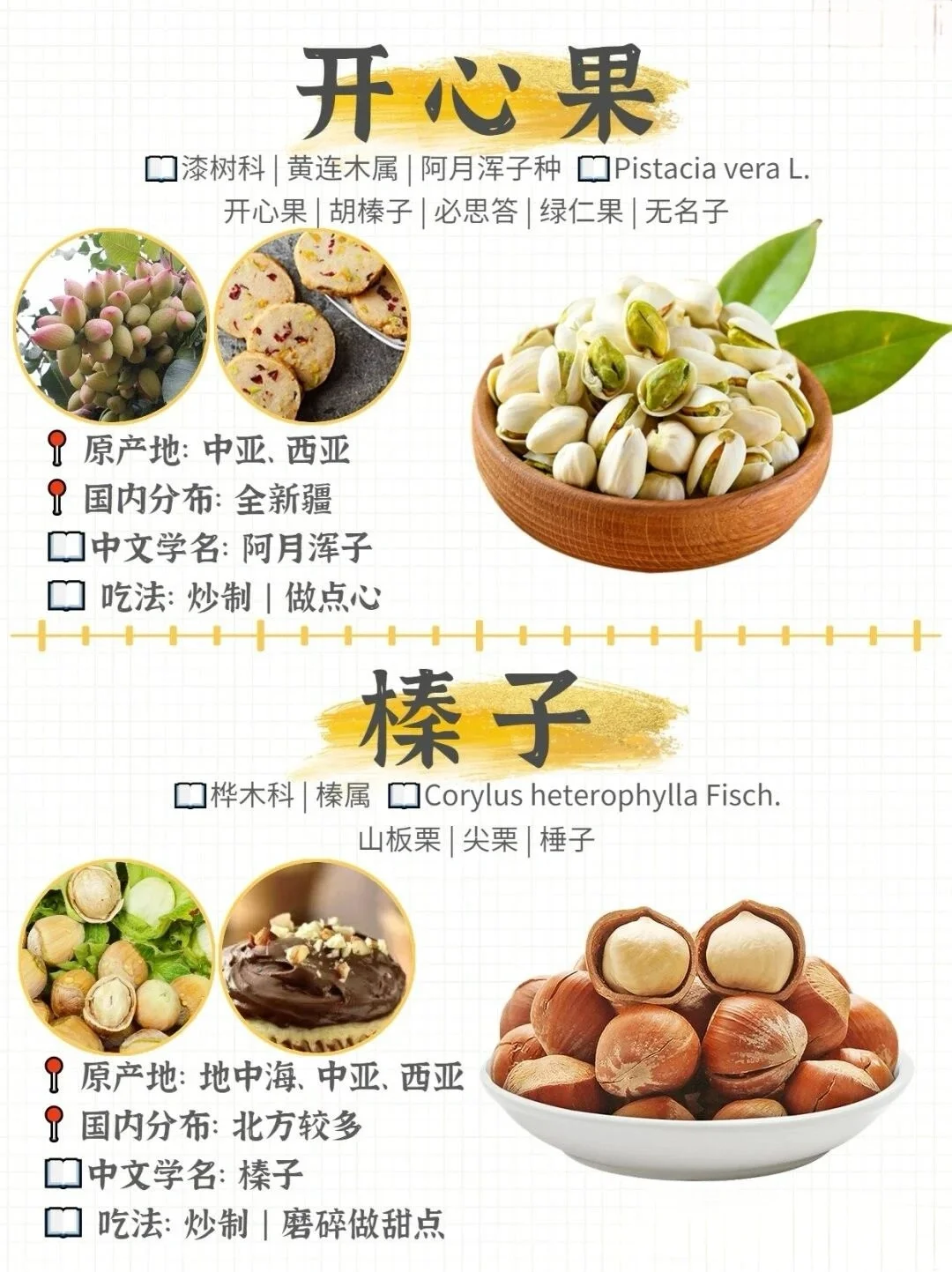 哪种坚果最好吃！坚果图鉴