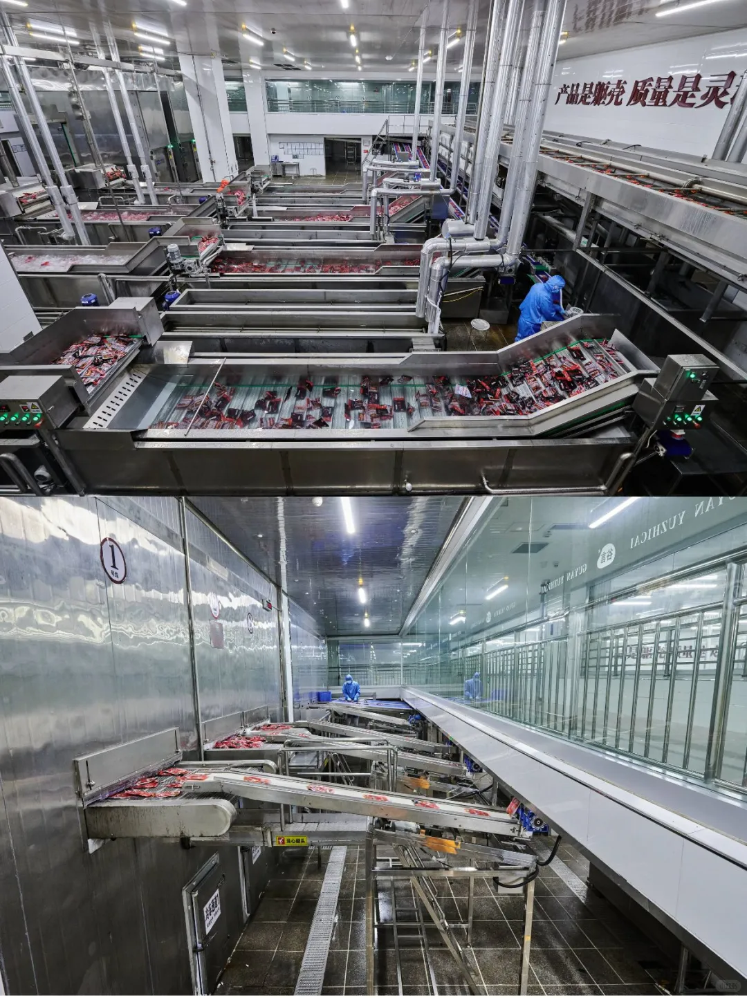 亲爱的锦鲤们！带大家认识下我们的生产车间