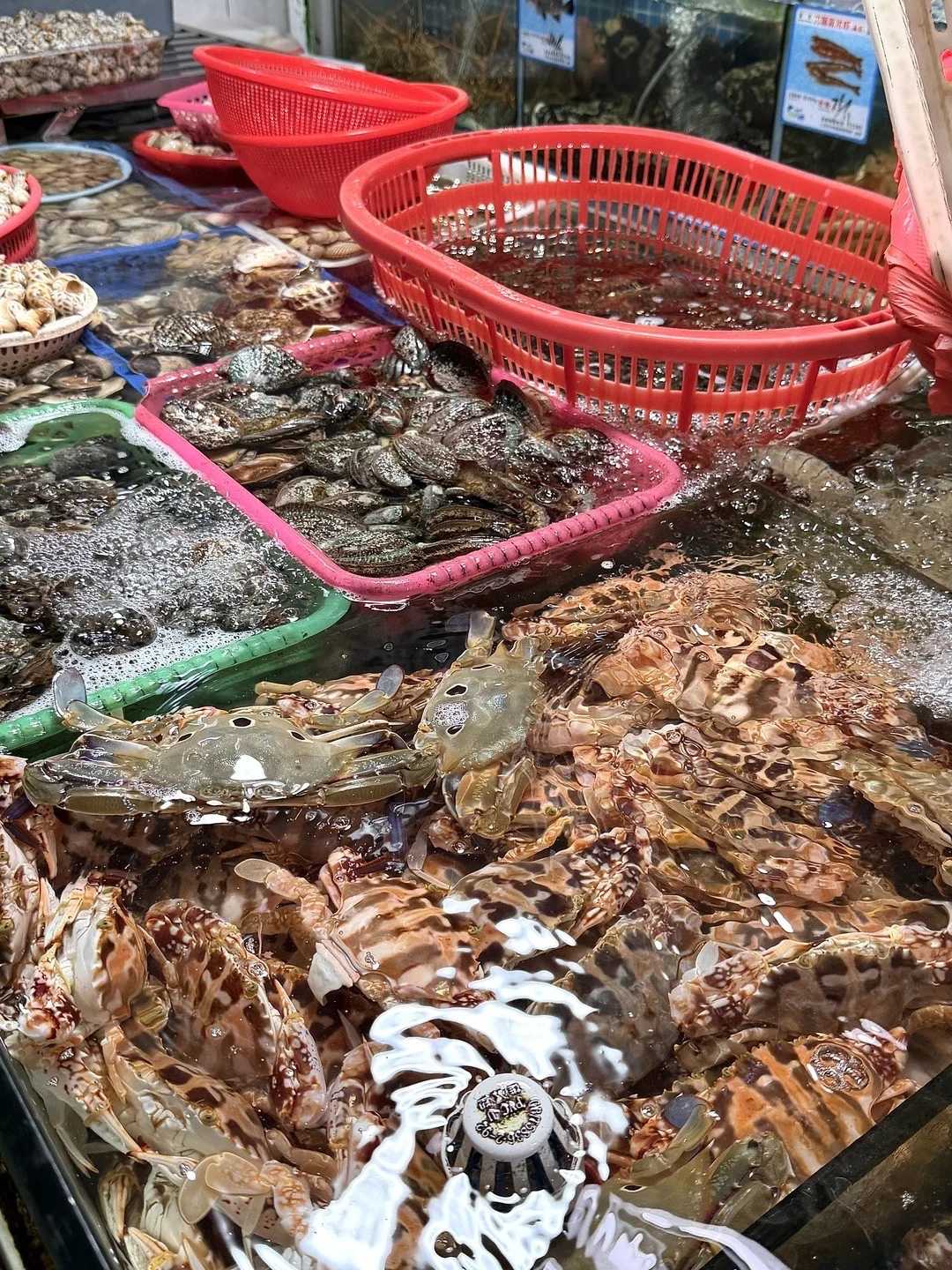 三亚第二市场海鲜测评!!!