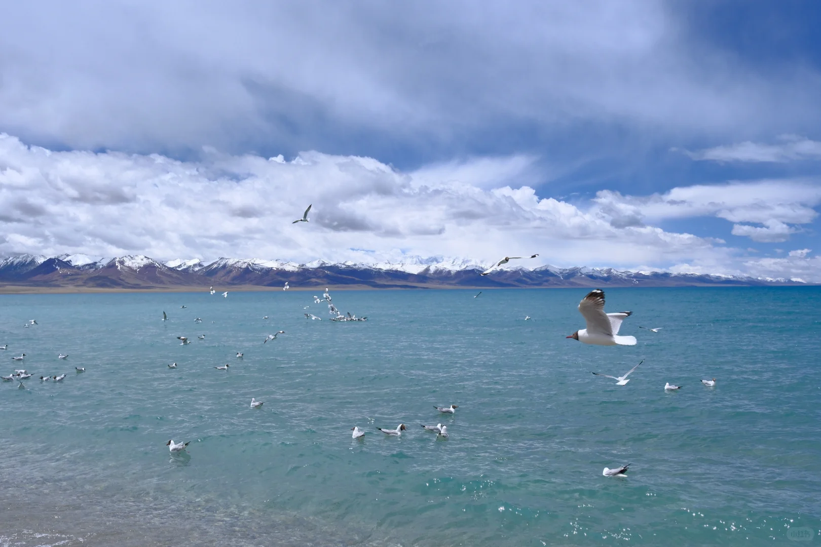 再也不害怕去高原了