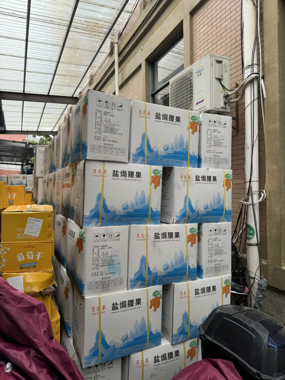 1688挖到三只ss、百c味老家了！坚果自由！