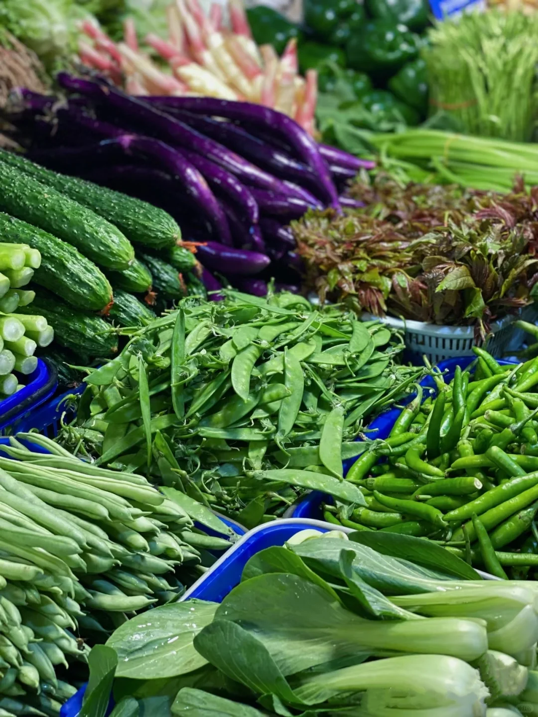 全品类食材供应