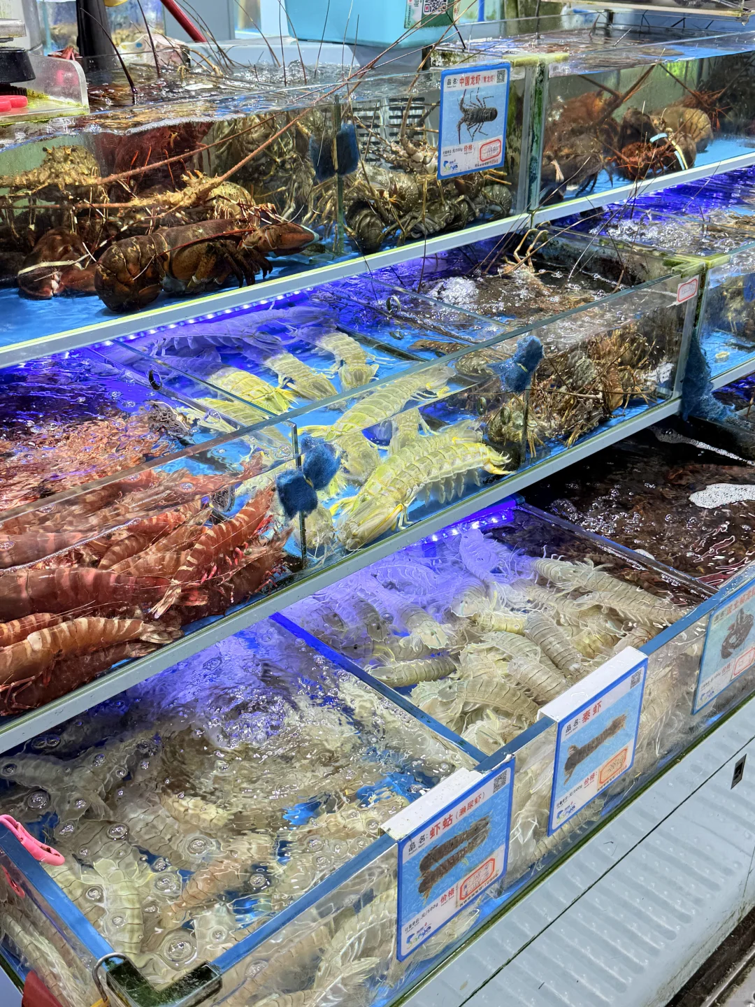 五刷三亚，第一市场吃海鲜首次感到很满意