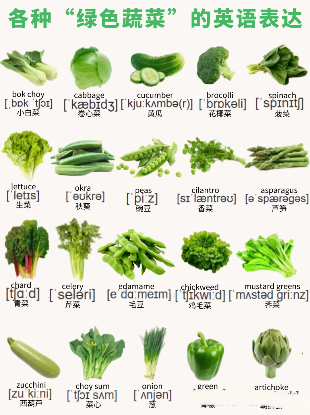 亲子英语｜绿色蔬菜词汇和高频亲子英语对话